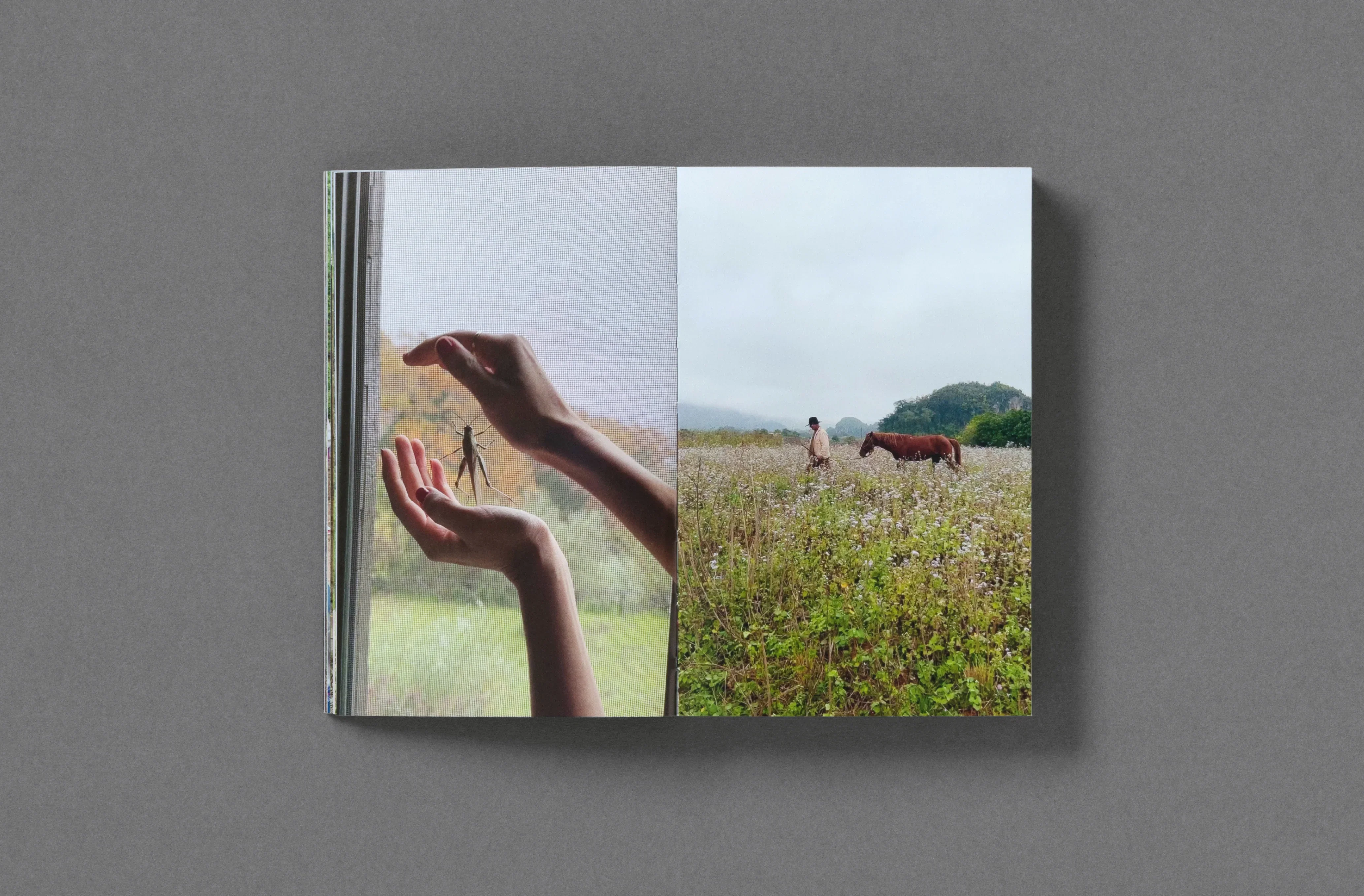 Sam Youkilis – Somewhere 2017-2023 - Image 21