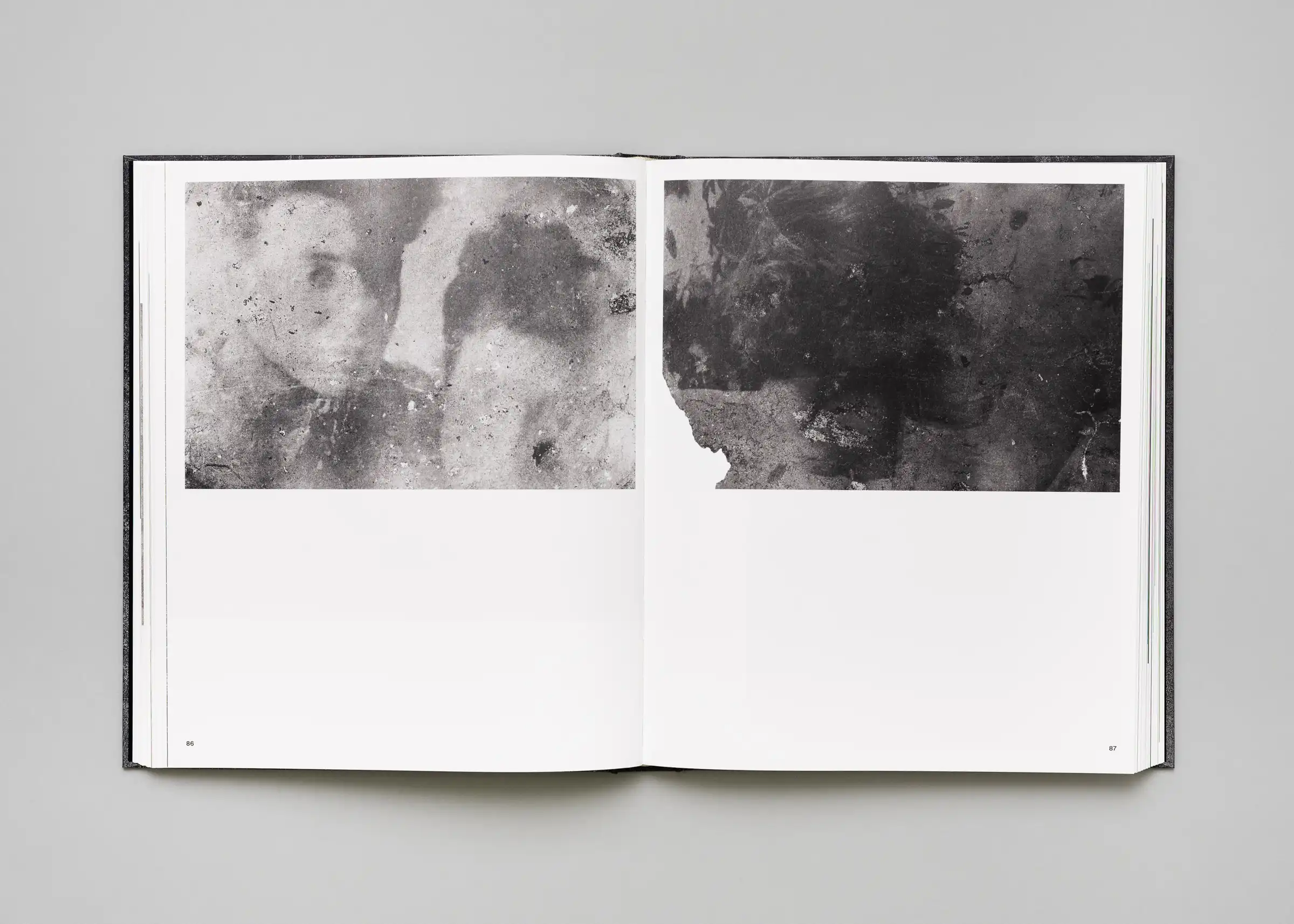 Stéphan Crasneanscki, Patti Smith, Philippe Grandrieux - Medea - Image 11