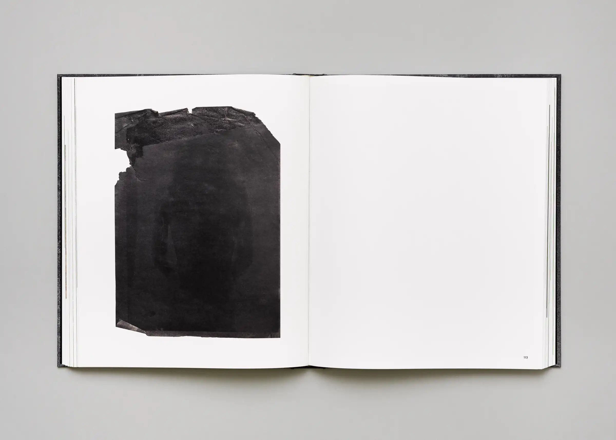 Stéphan Crasneanscki, Patti Smith, Philippe Grandrieux - Medea - Image 12