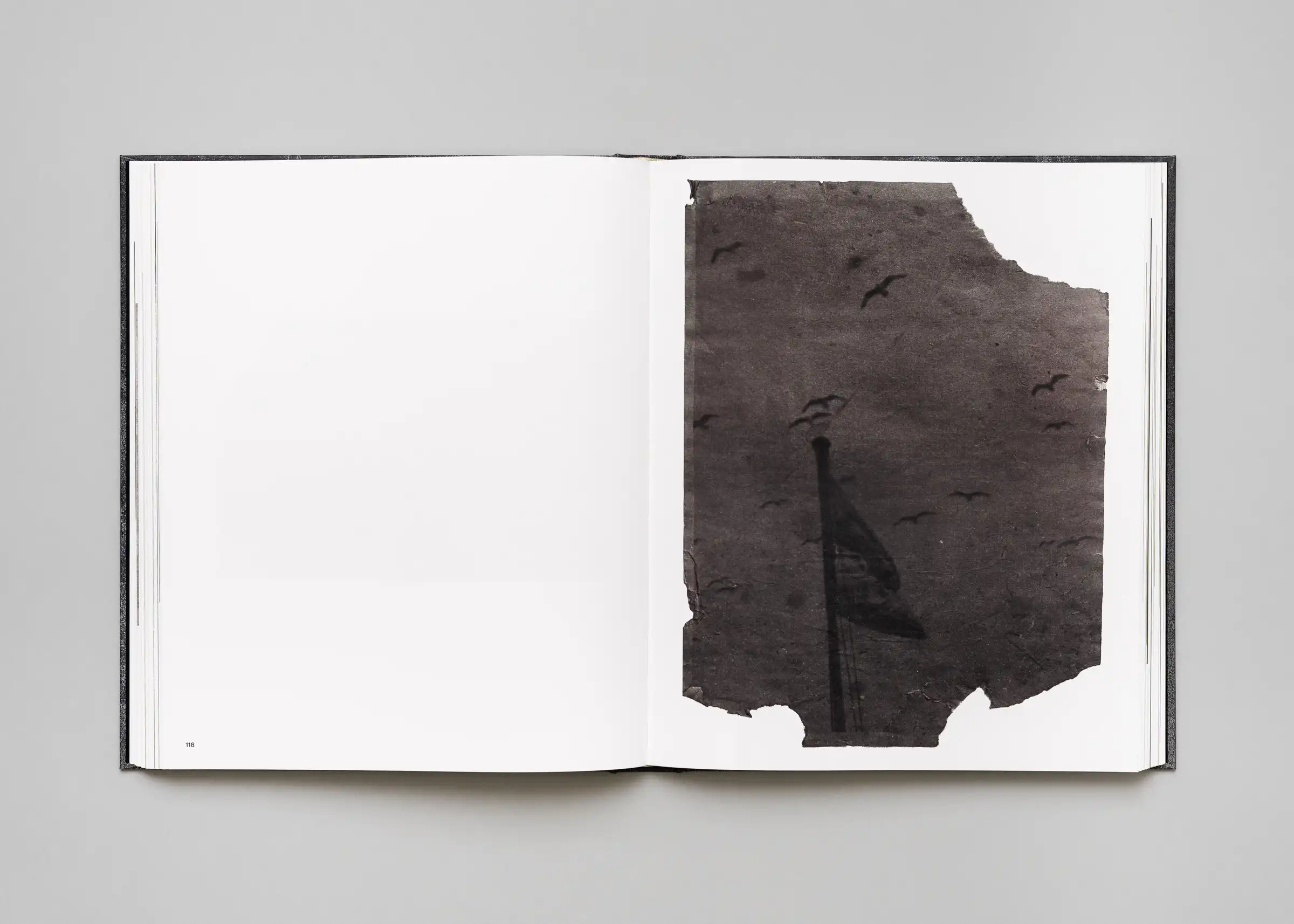 Stéphan Crasneanscki, Patti Smith, Philippe Grandrieux - Medea - Image 13