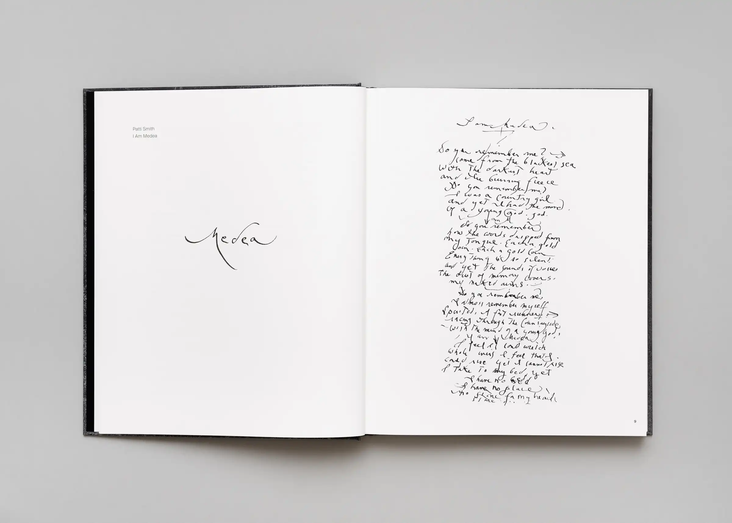 Stéphan Crasneanscki, Patti Smith, Philippe Grandrieux - Medea - Image 3