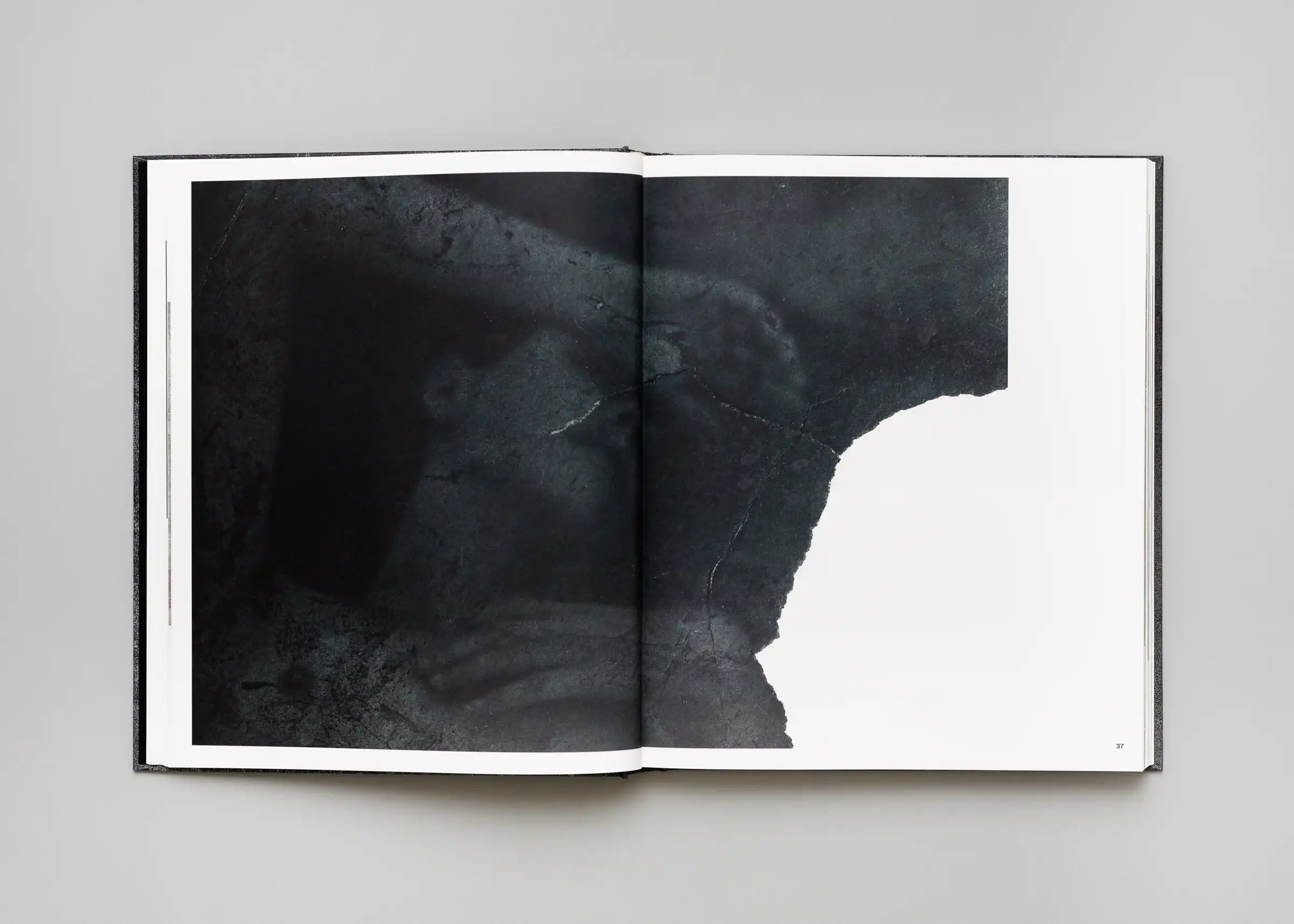 Stéphan Crasneanscki, Patti Smith, Philippe Grandrieux - Medea - Image 8