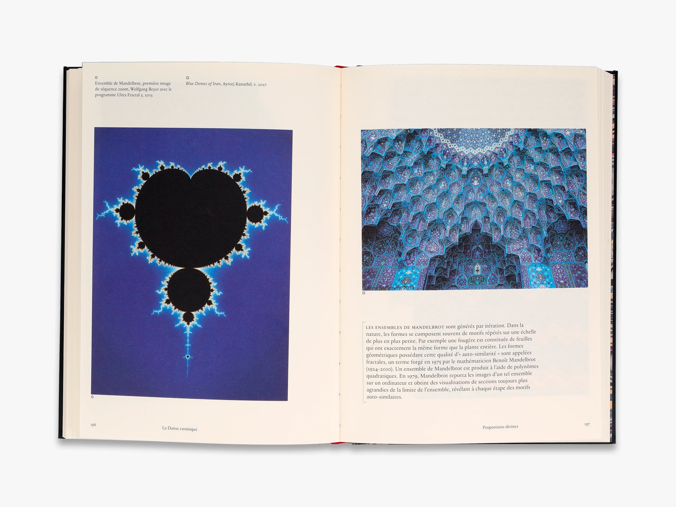 Stephen Ellcock - The Cosmic Dance - Image 13