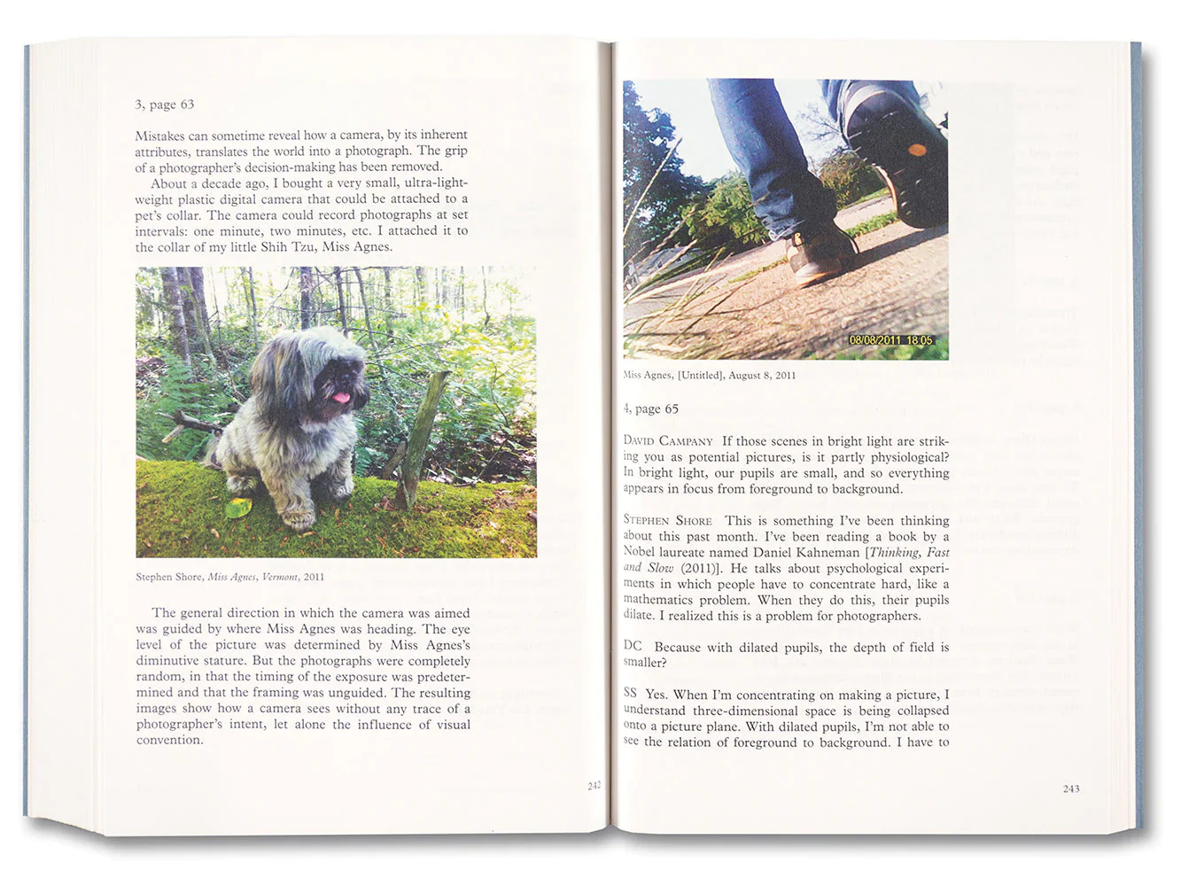 Stephen Shore - Modern Instances: The Craft of Photography - Image 28