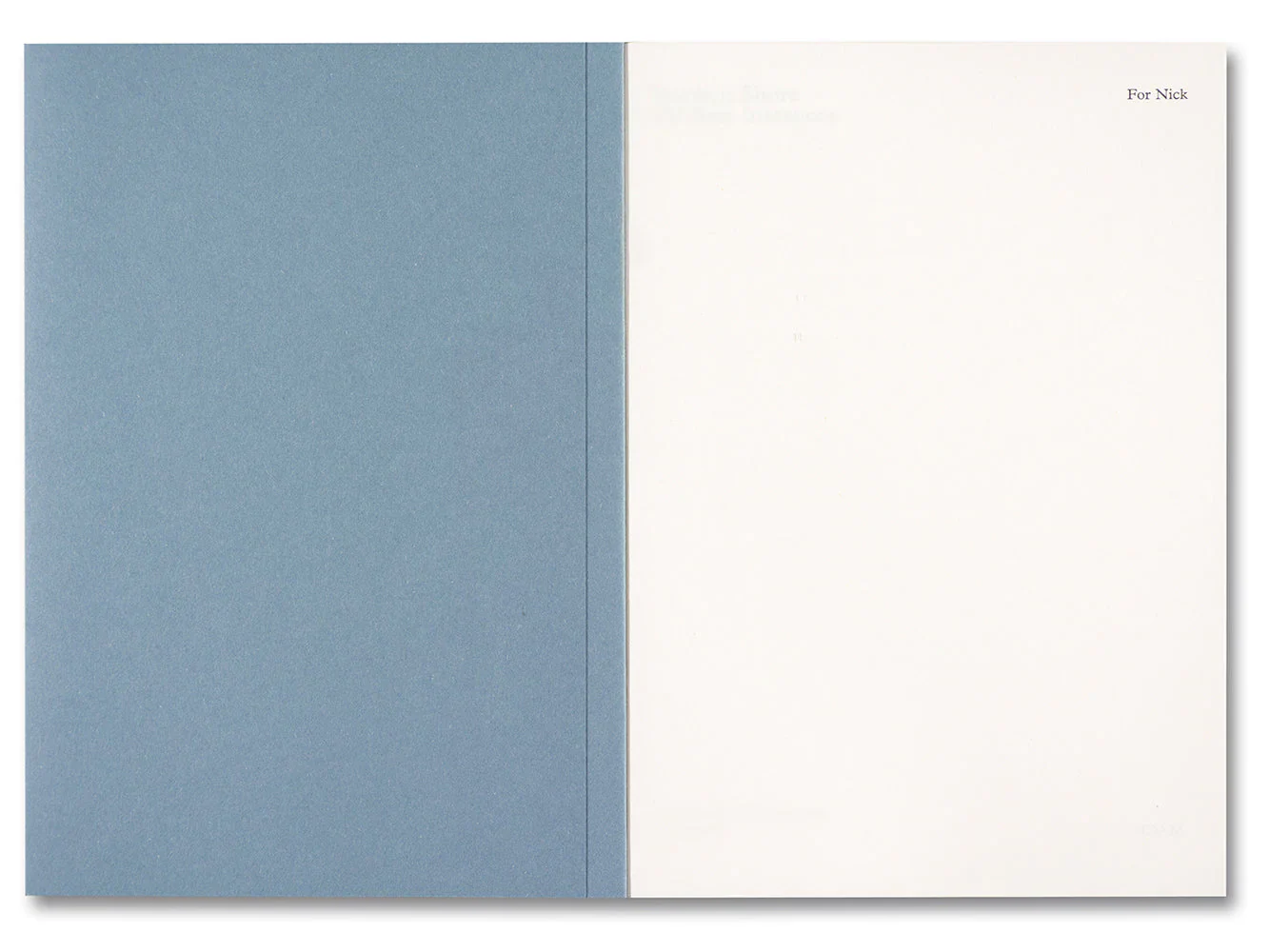 Stephen Shore - Modern Instances: The Craft of Photography - Image 3