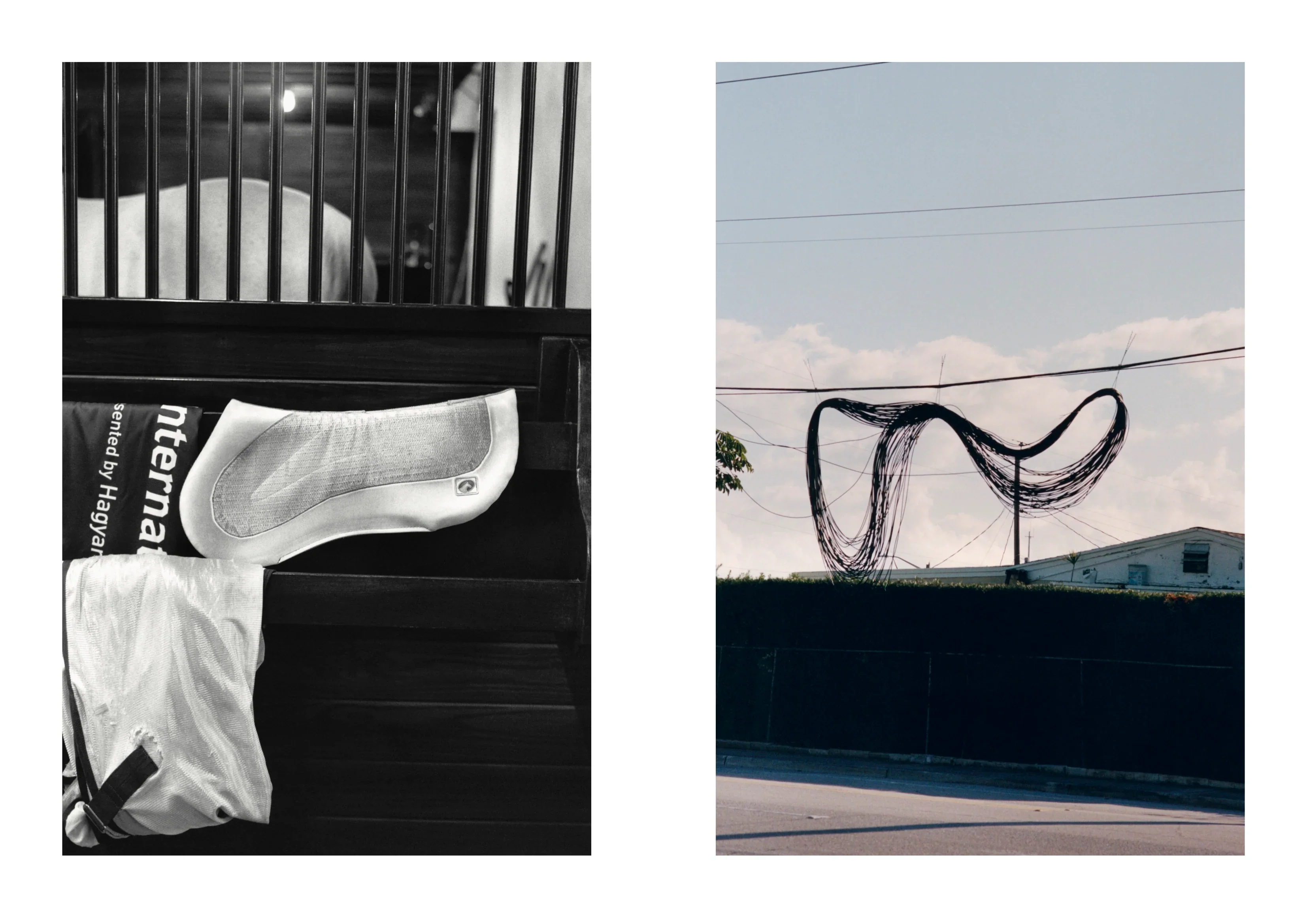 Study - Volume 15 - Up and Over with Alex Matz - Image 7