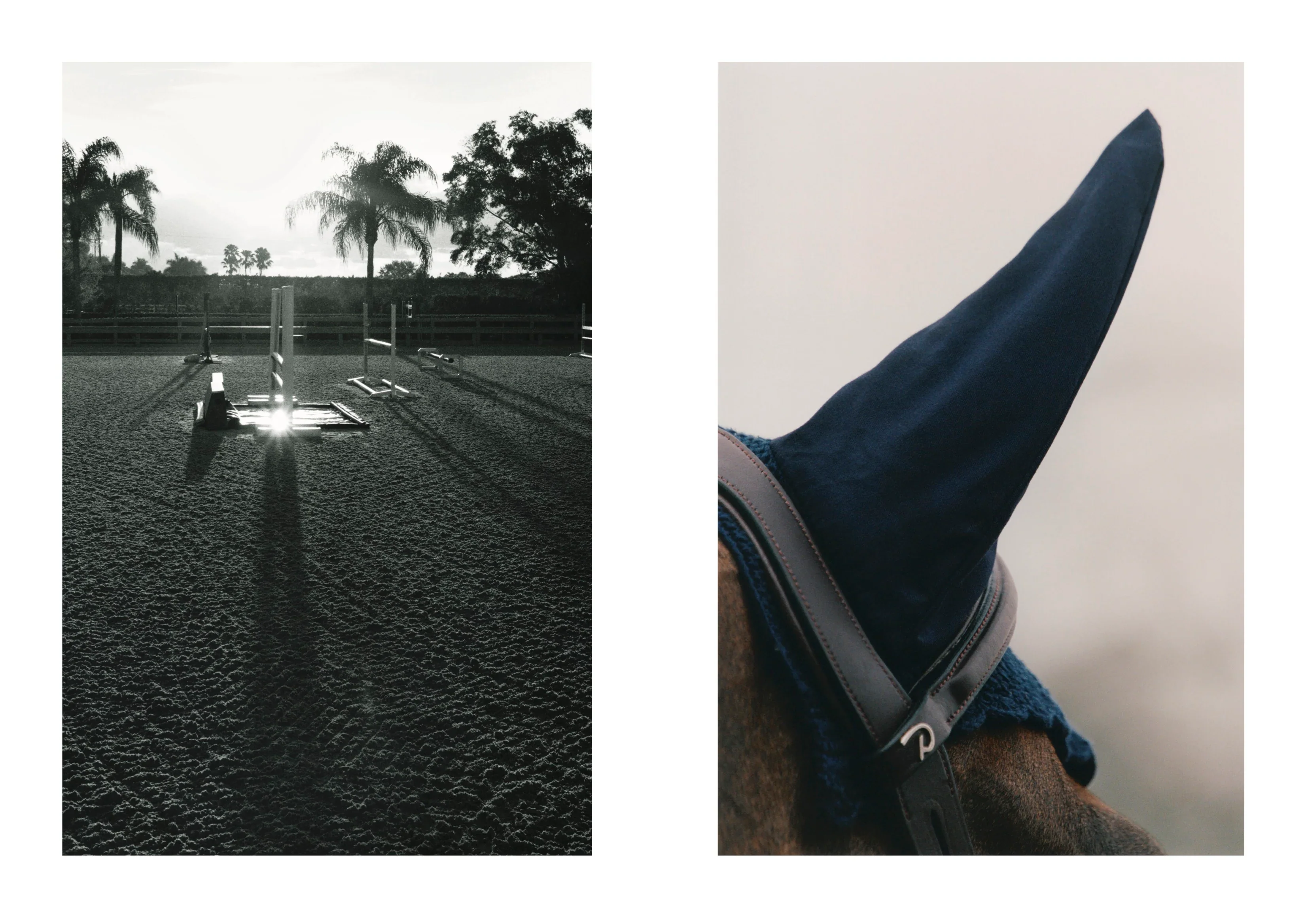 Study - Volume 15 - Up and Over with Alex Matz - Image 8