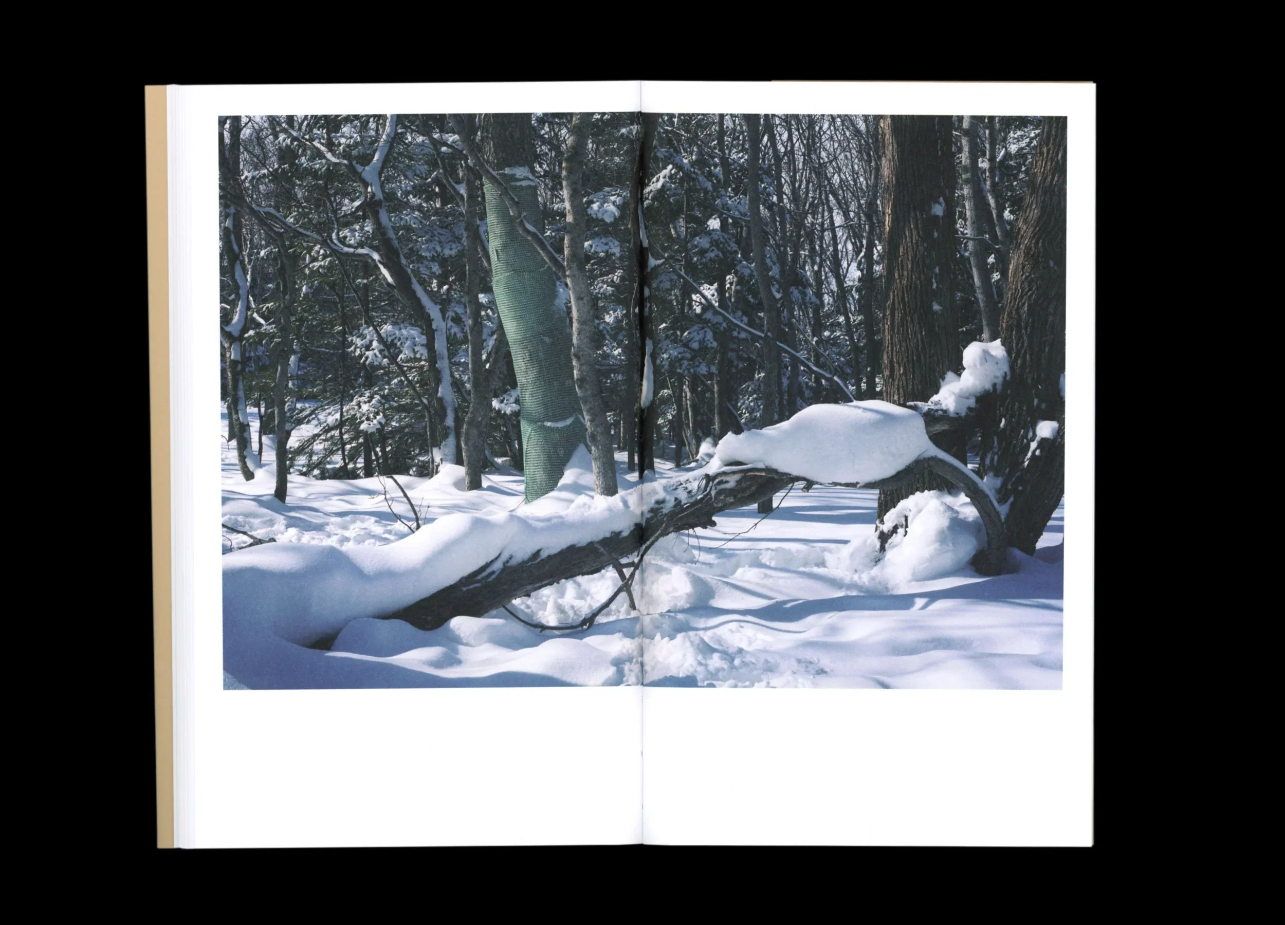 Takashi Homma - BTS (Behind The Scenes) - Image 15