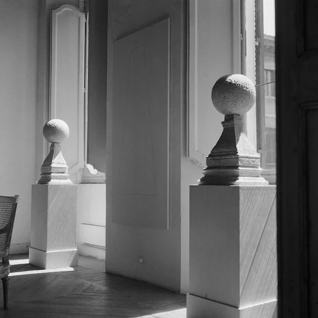 Tatia Franchetti Twombly - Stella Honey - Image 2