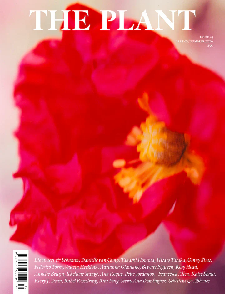 The Plant - Issue 25 - Image 6