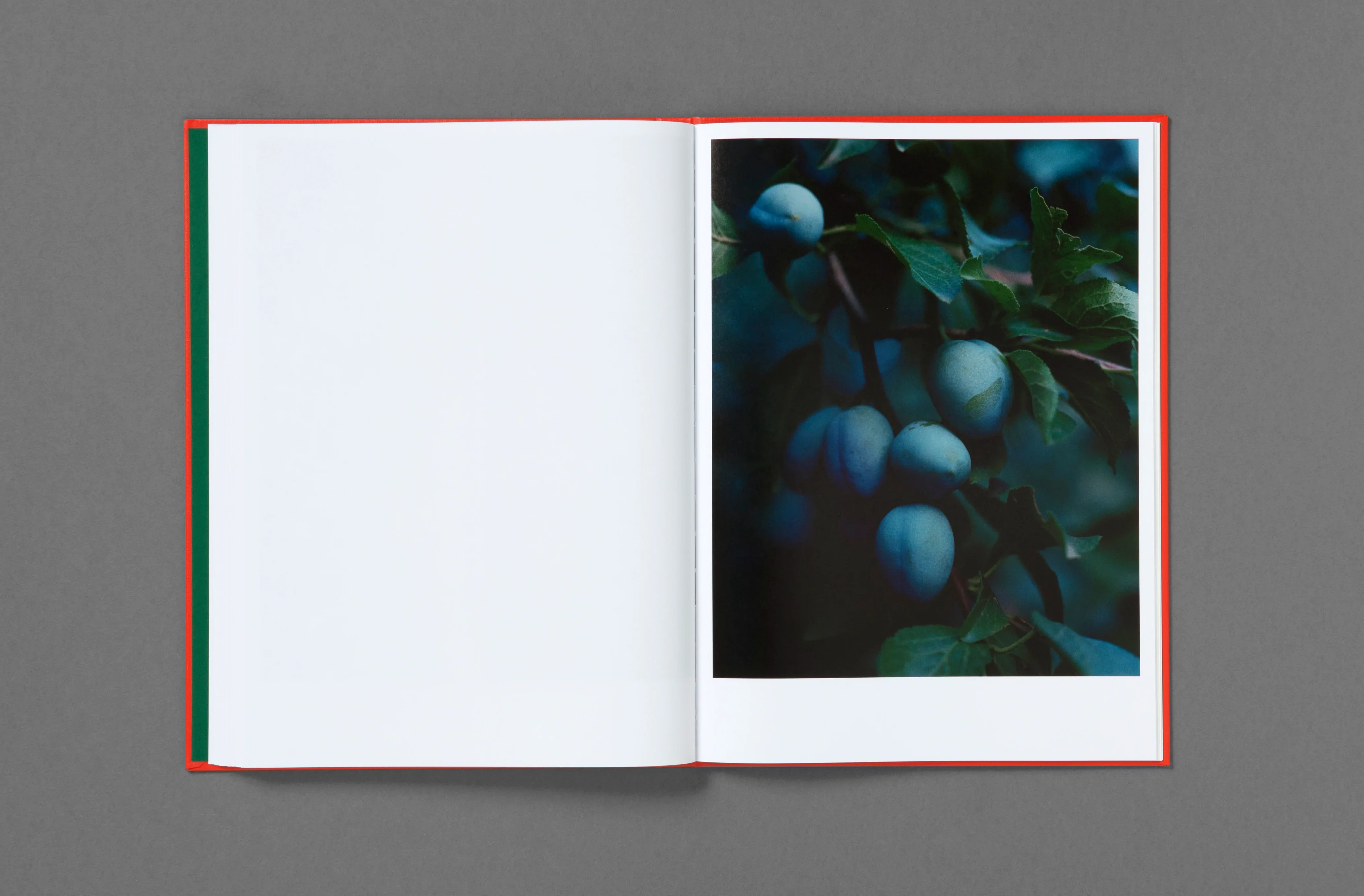 Thomas Rousset – Prabérians - Image 33