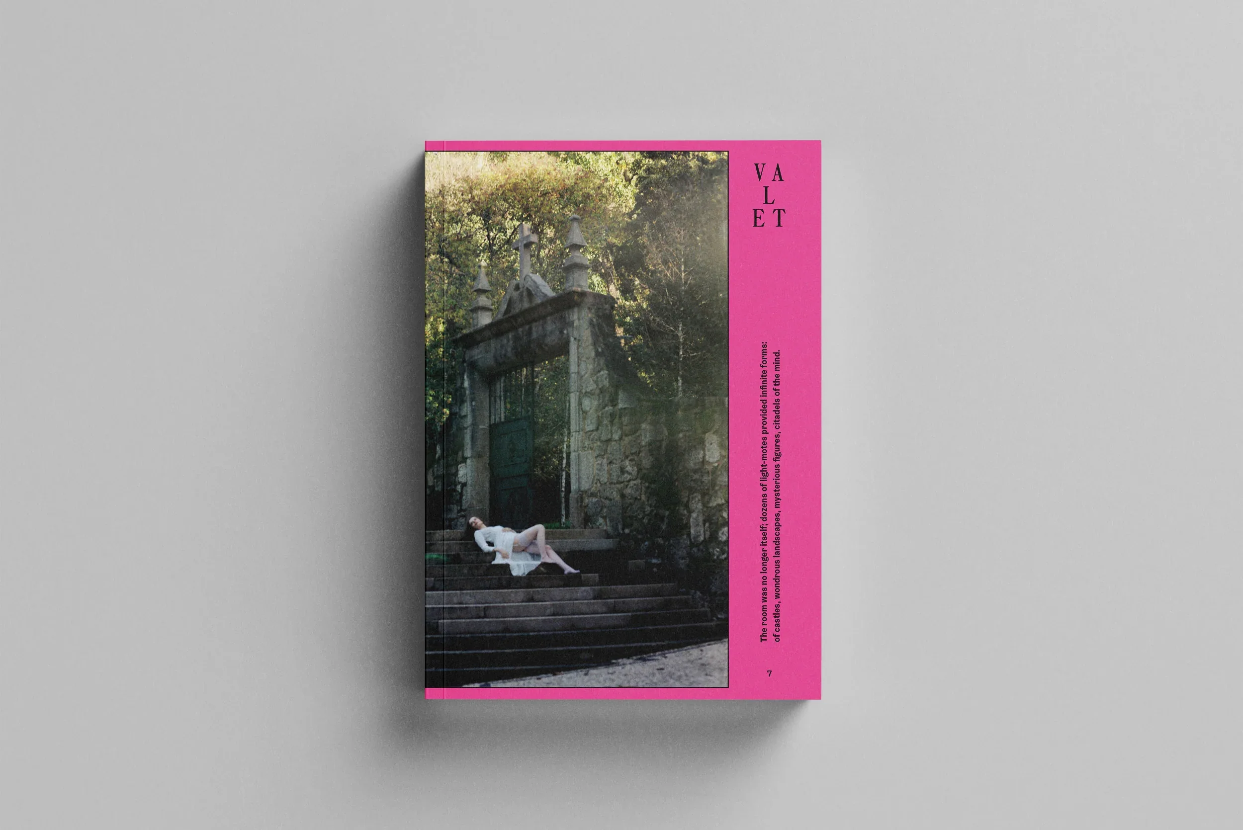 Valet - Issue 7 "Sex" - Image 2
