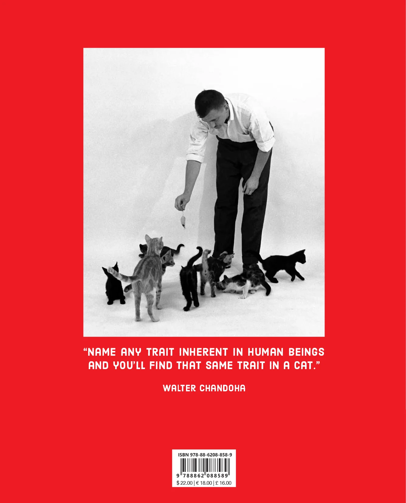 Walter Chandoha - Family Cats (From the archive 1950-1969) - Image 2