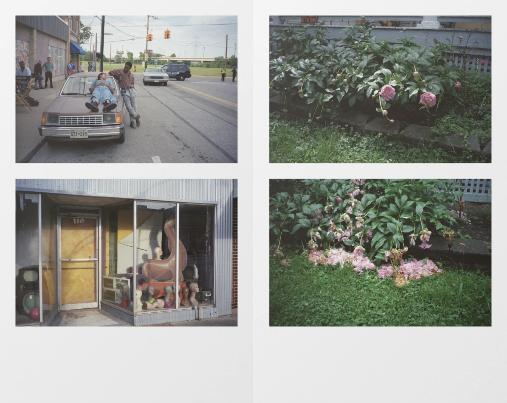 Yannis Drakoulidis - Bones and All - Image 11