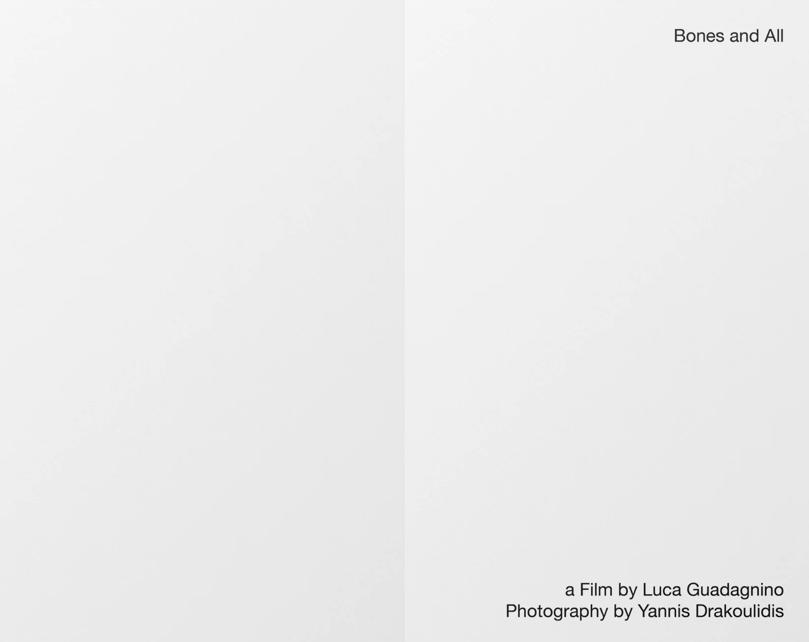 Yannis Drakoulidis - Bones and All - Image 3