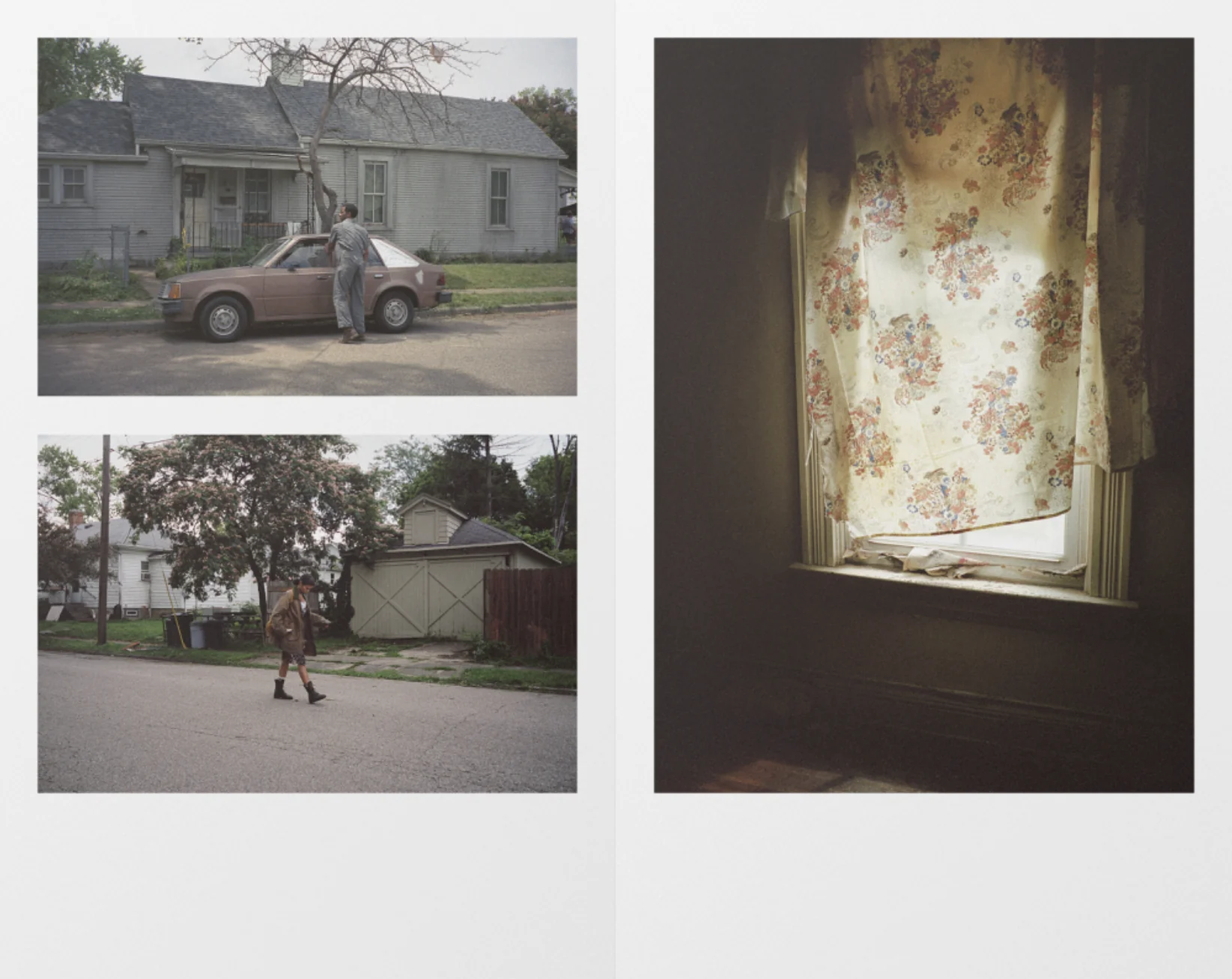 Yannis Drakoulidis - Bones and All - Image 6