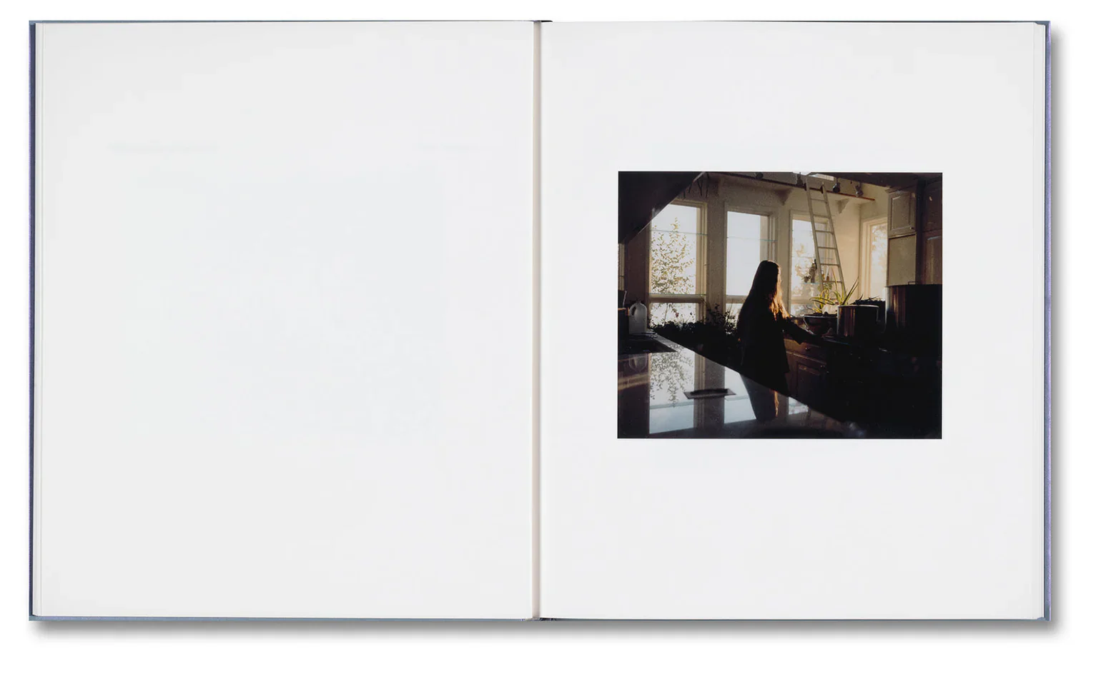 Yorgos Lanthimos - i shall sing these songs beautifully - Image 9