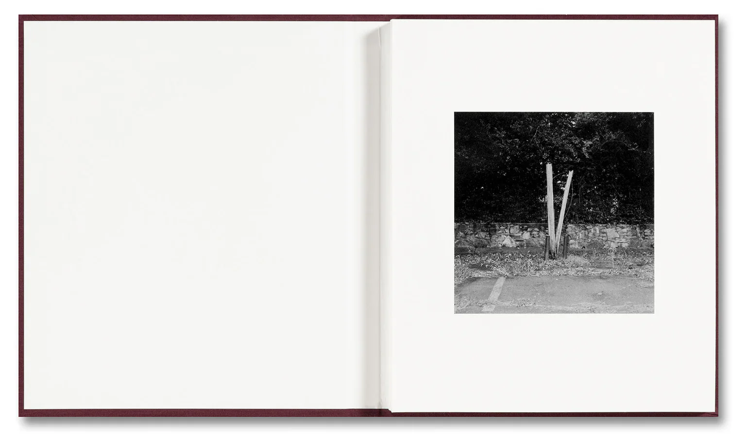 Yorgos Lanthimos - VISCIN - Image 3