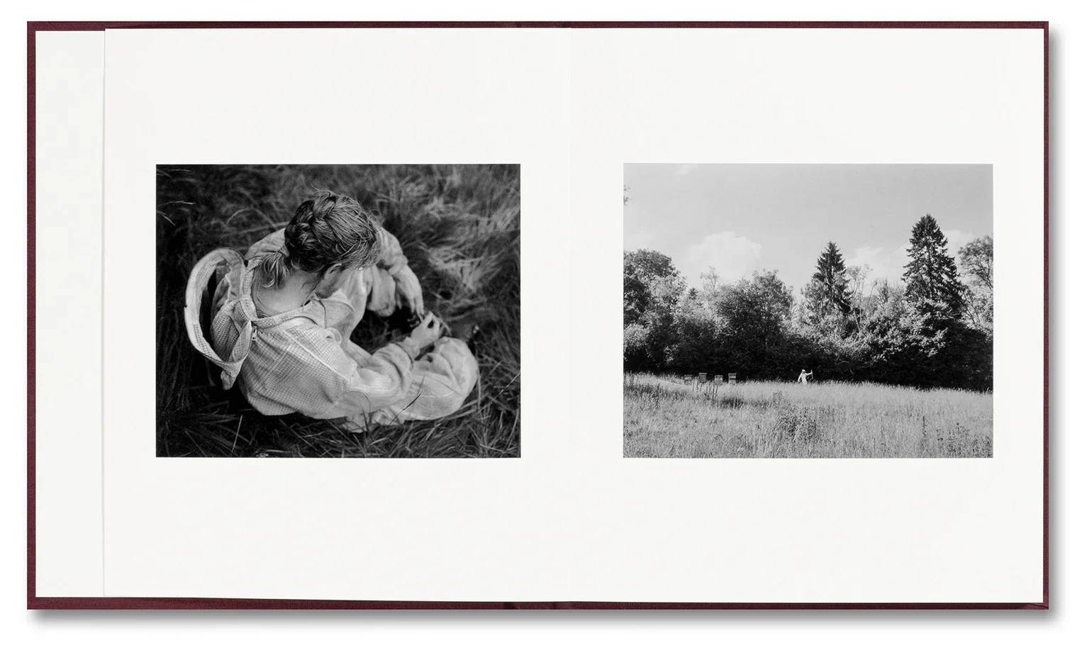 Yorgos Lanthimos - VISCIN - Image 4