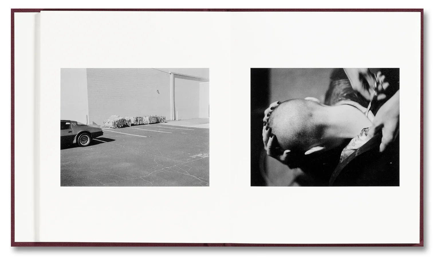 Yorgos Lanthimos - VISCIN - Image 8